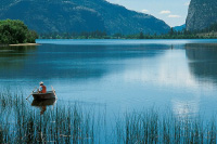 Vernon Fishing