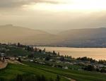 View Property