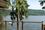 View Property