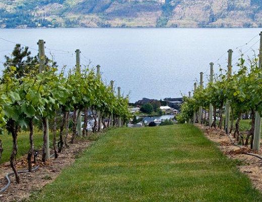 Vineyard Vista - 4 Bdrm HT - West Kelowna