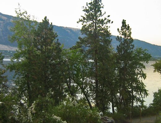 Lakefront Carriage Home - 2 Bdrm - Oyama