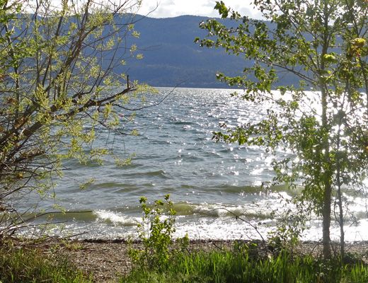 Lakeside Rancher - 3 Bdrm (Semi-Lakefront) - Lake Country