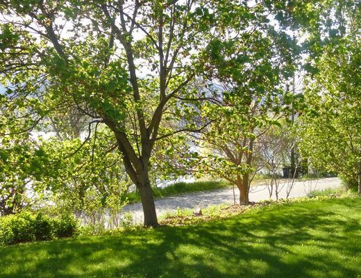 Lakeside Rancher - 3 Bdrm (Semi-Lakefront) - Lake Country