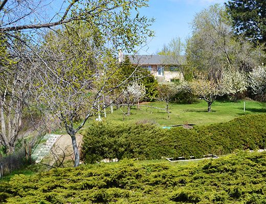 Carrall House - 3 Bdrm - West Kelowna