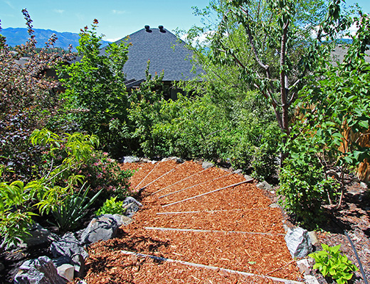 Vineyard Estates - 3 Bdrm w/Pool - West Kelowna