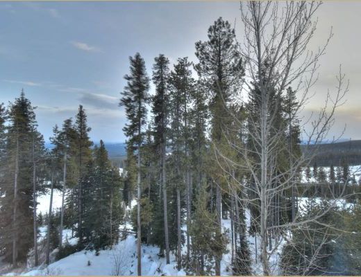 Chateau On The Ridge - 4 Bdrm (R) - Big White