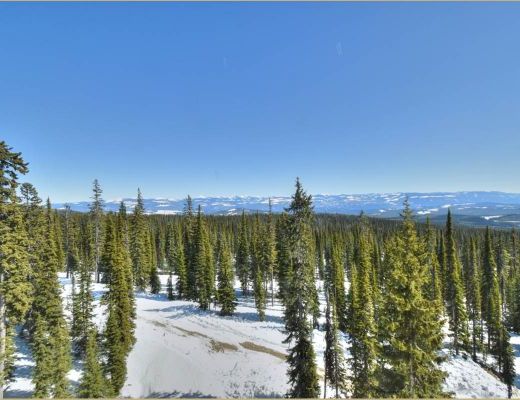 Copper Kettle Lodge - 3 Bdrm HT (P) - Big White