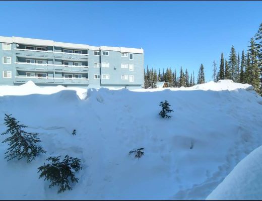 Whitefoot Lodge - Kitchenette (B) - Big White