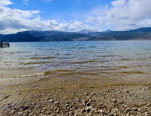 Lakeshore Cabin - 4 Bdrm Lakefront - Kelowna (CVH)