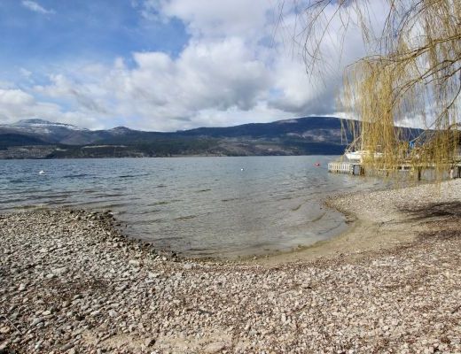 Lakeshore Cabin - 4 Bdrm Lakefront - Kelowna (CVH)