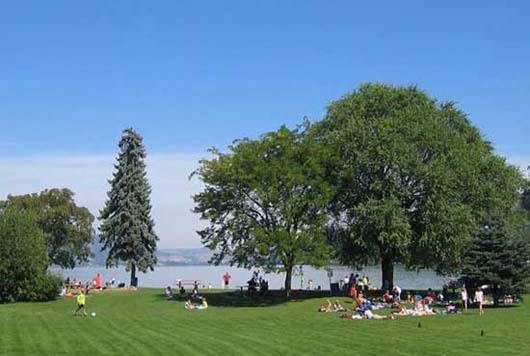 Emerald Point Resort - Wood Lake